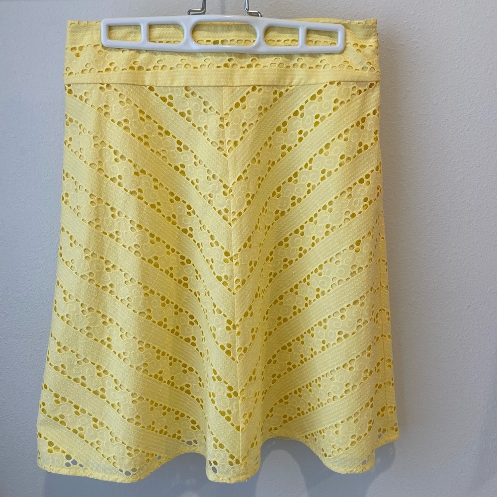 Ann Taylor Eyelet Skirt